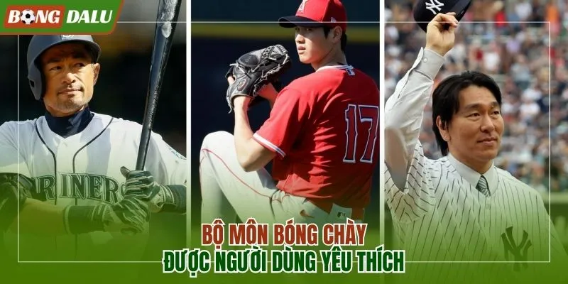 Bộ môn cá cược bóng chày được ưa chuộng