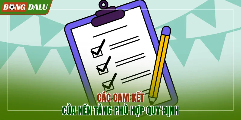 Các cam kết của nền tảng phù hợp với quy định