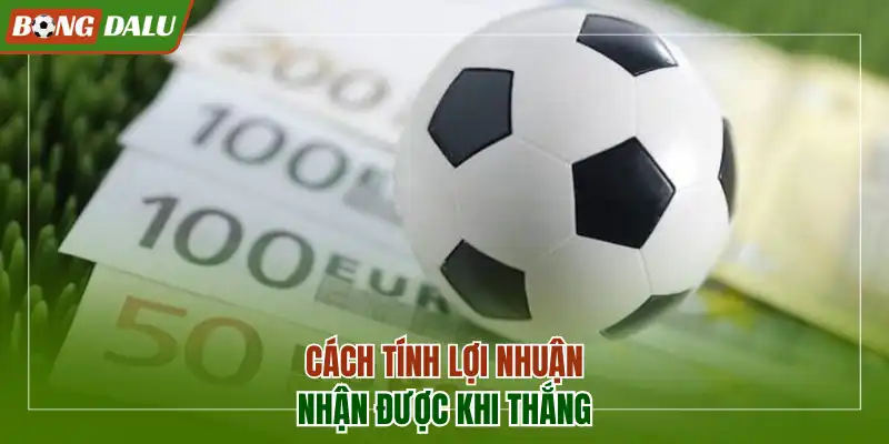 Cách tính lợi nhuận nhận được khi thắng