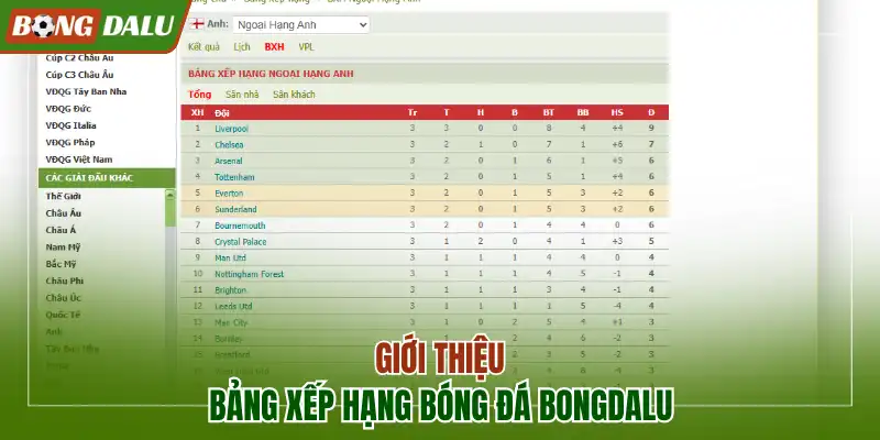 Giới thiệu bảng xếp hạng bóng đá trên Bongdalu