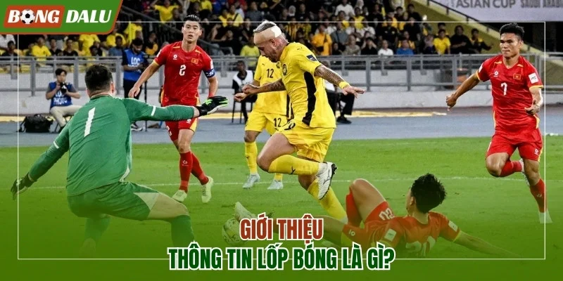 Giới thiệu lốp bóng là gì?