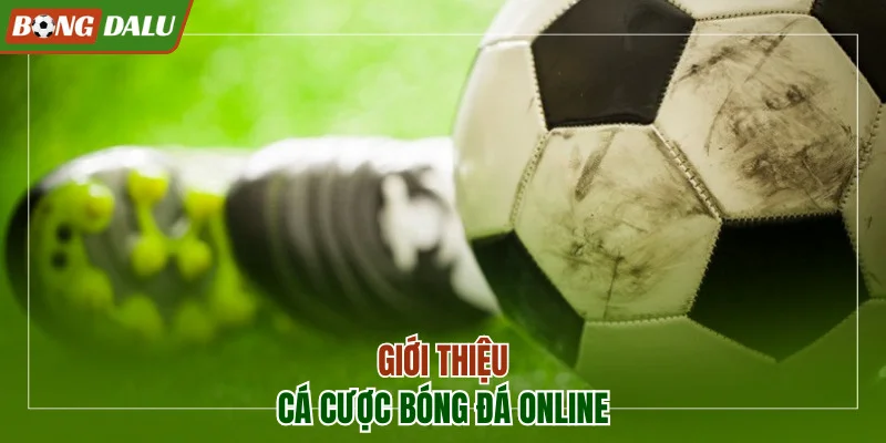 Giới thiệu về cá độ bóng online