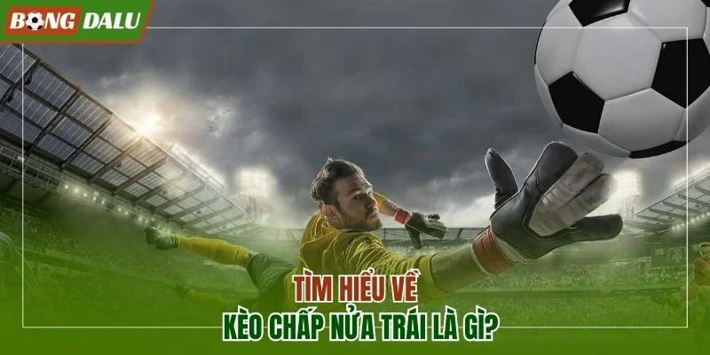 Kèo chấp nửa trái là gì?