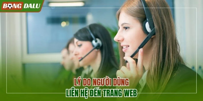 Lý do người dùng liên hệ đến trang web