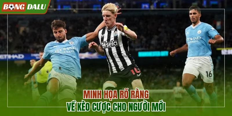 Minh họa rõ ràng và chuẩn về kèo cược cho người mới