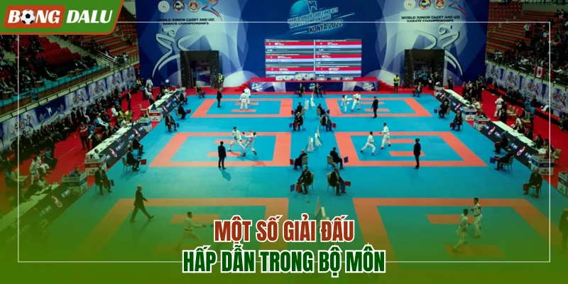 Một số giải đấu hấp dẫn trong bộ môn đang có