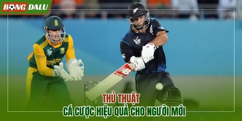 Thủ thuật cá cược đơn giản và hiệu quả cho hội viên mới