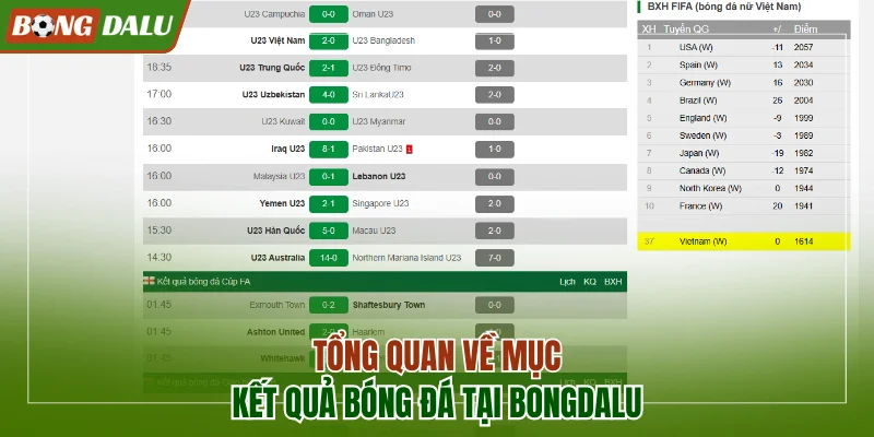 Tổng quan về chuyên mục kết quả bóng đá tại Bongdalu
