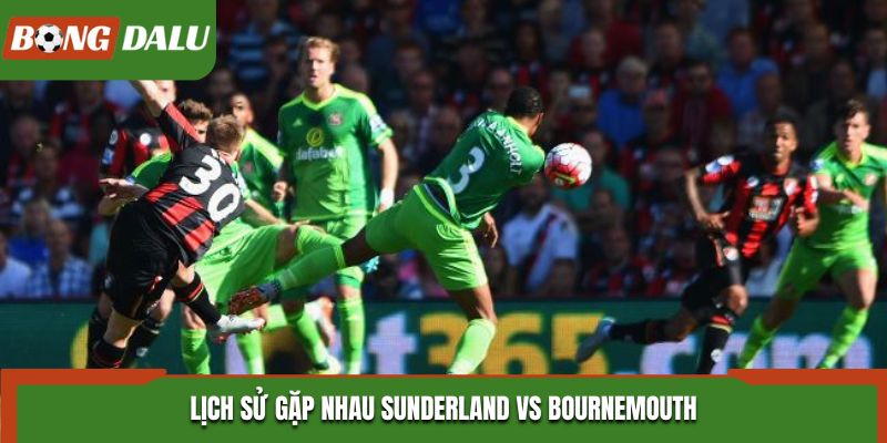 Soi kèo Sunderland vs Bournemouth - đánh giá kết quả đối đầu trước kia